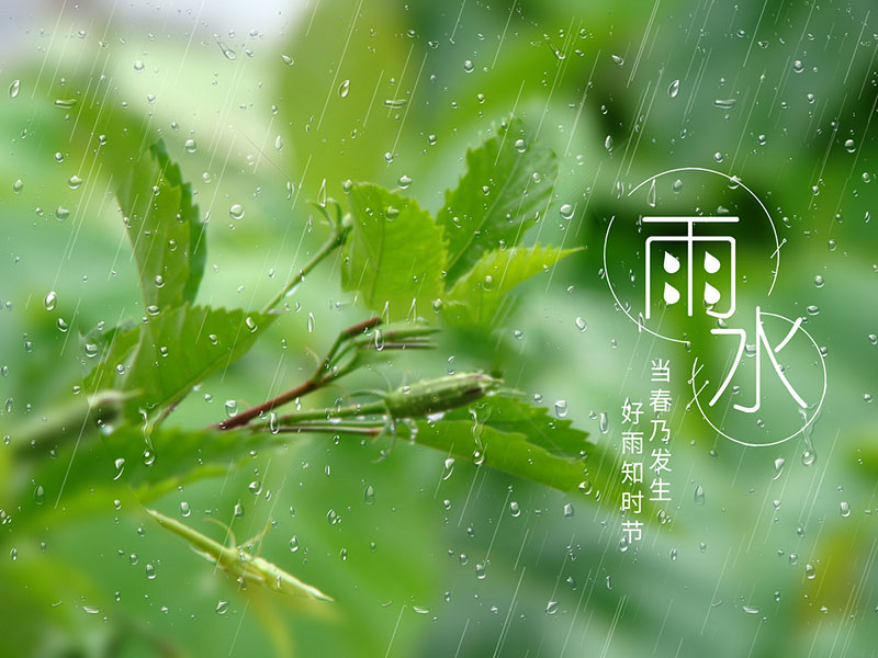 雨水